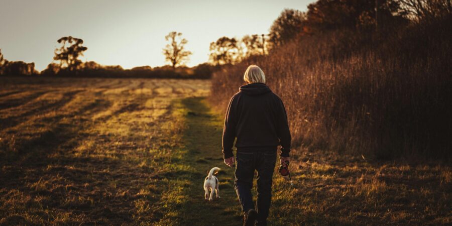 walking dog